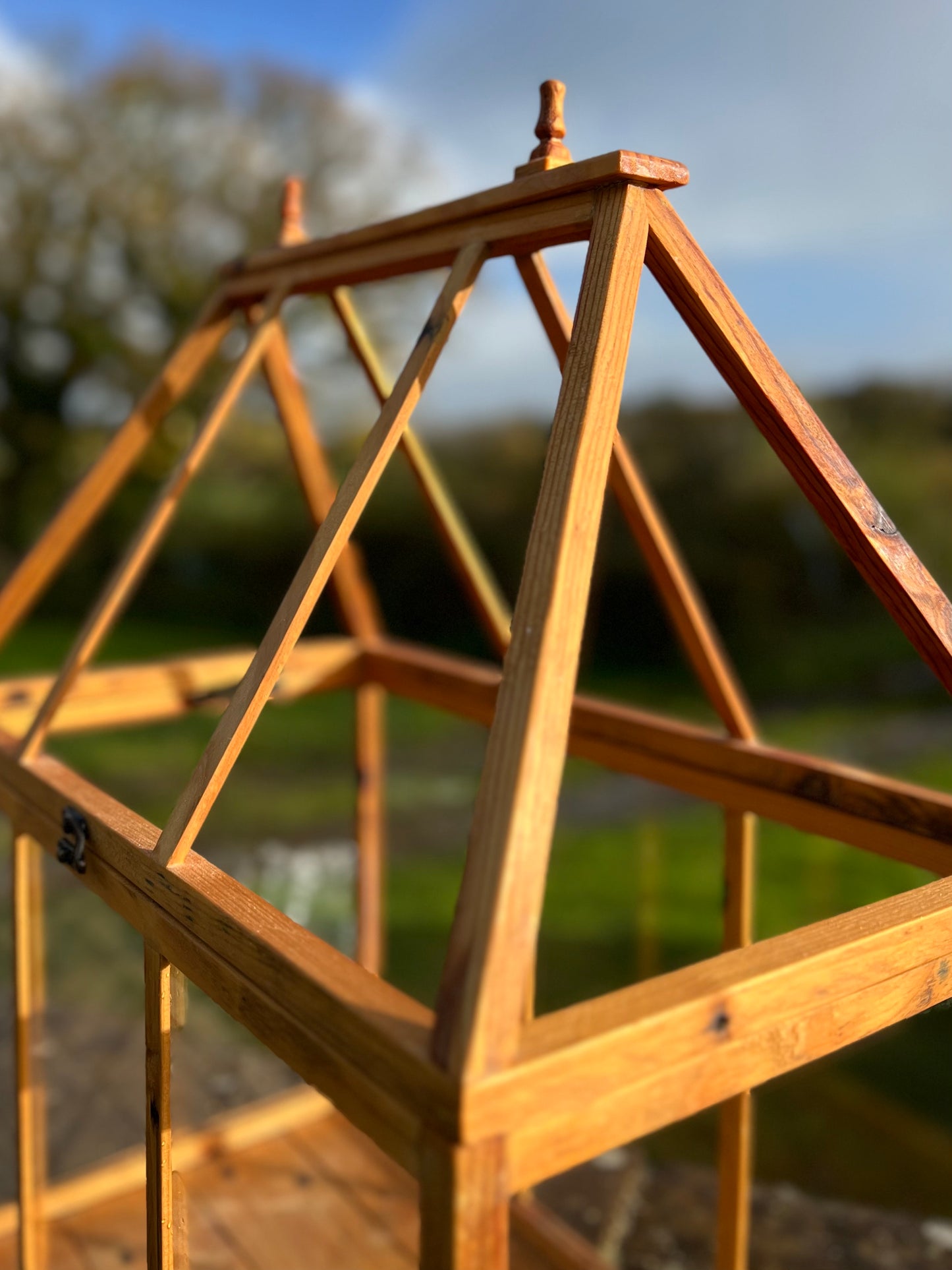 Handcrafted Wood and Glass Terrarium