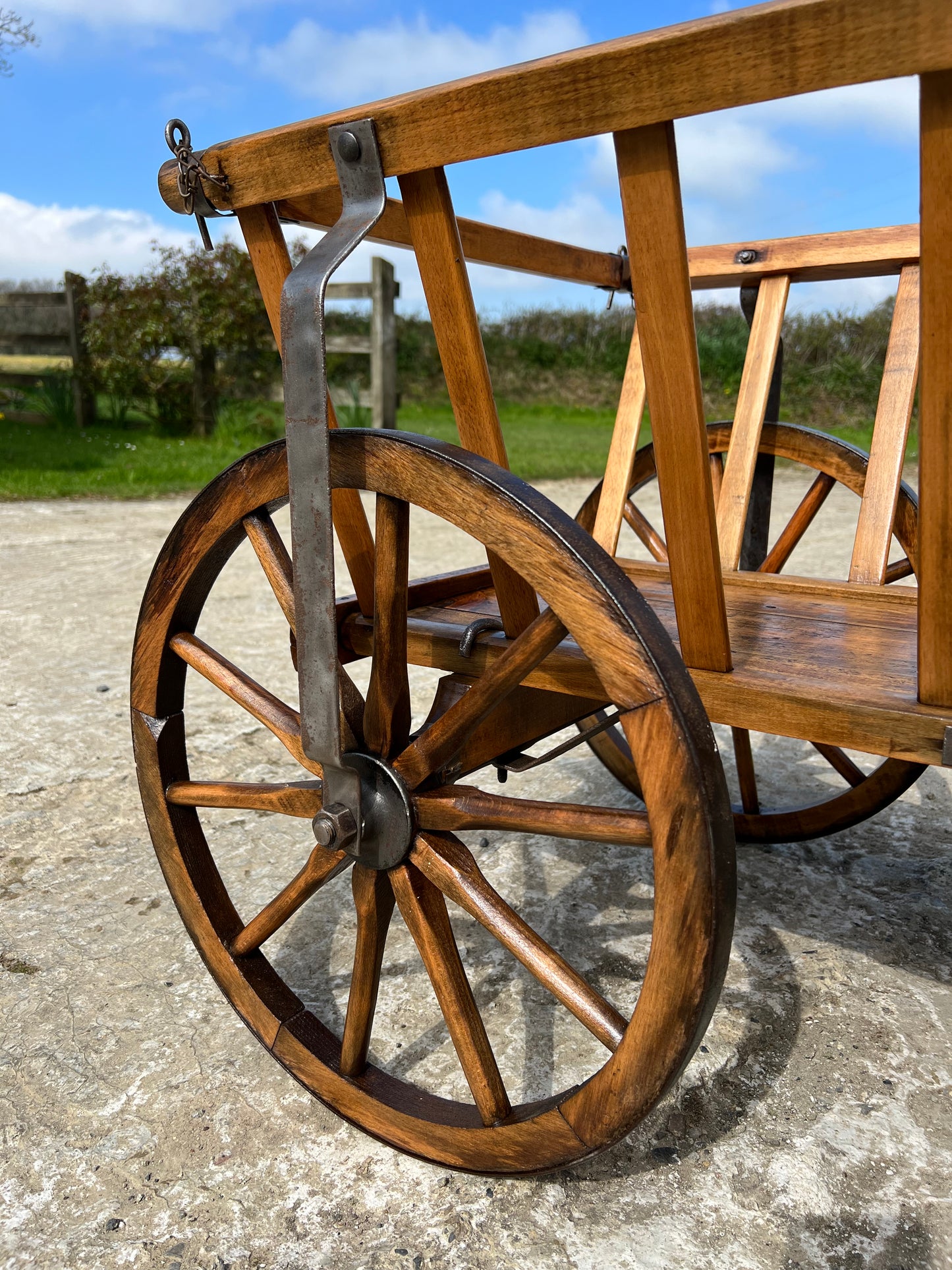 Vintage Dog Cart 2