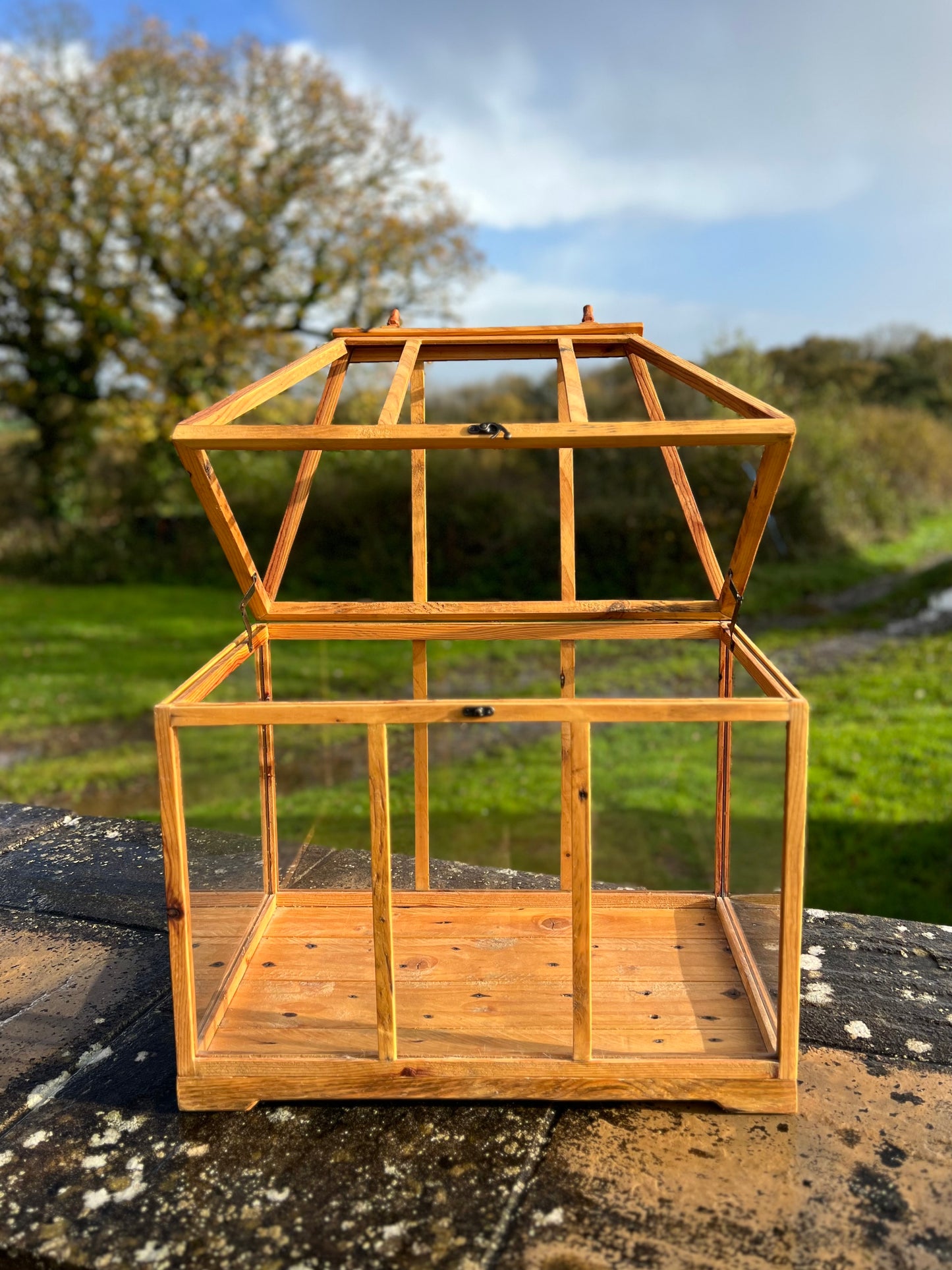 Handcrafted Wood and Glass Terrarium