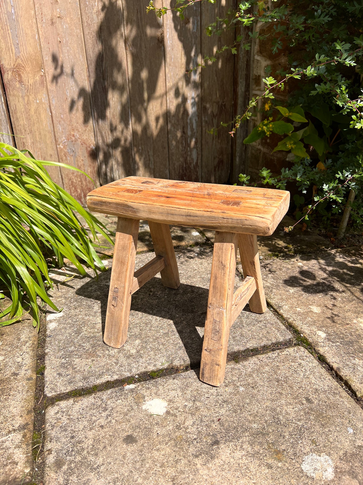 Milking Stool