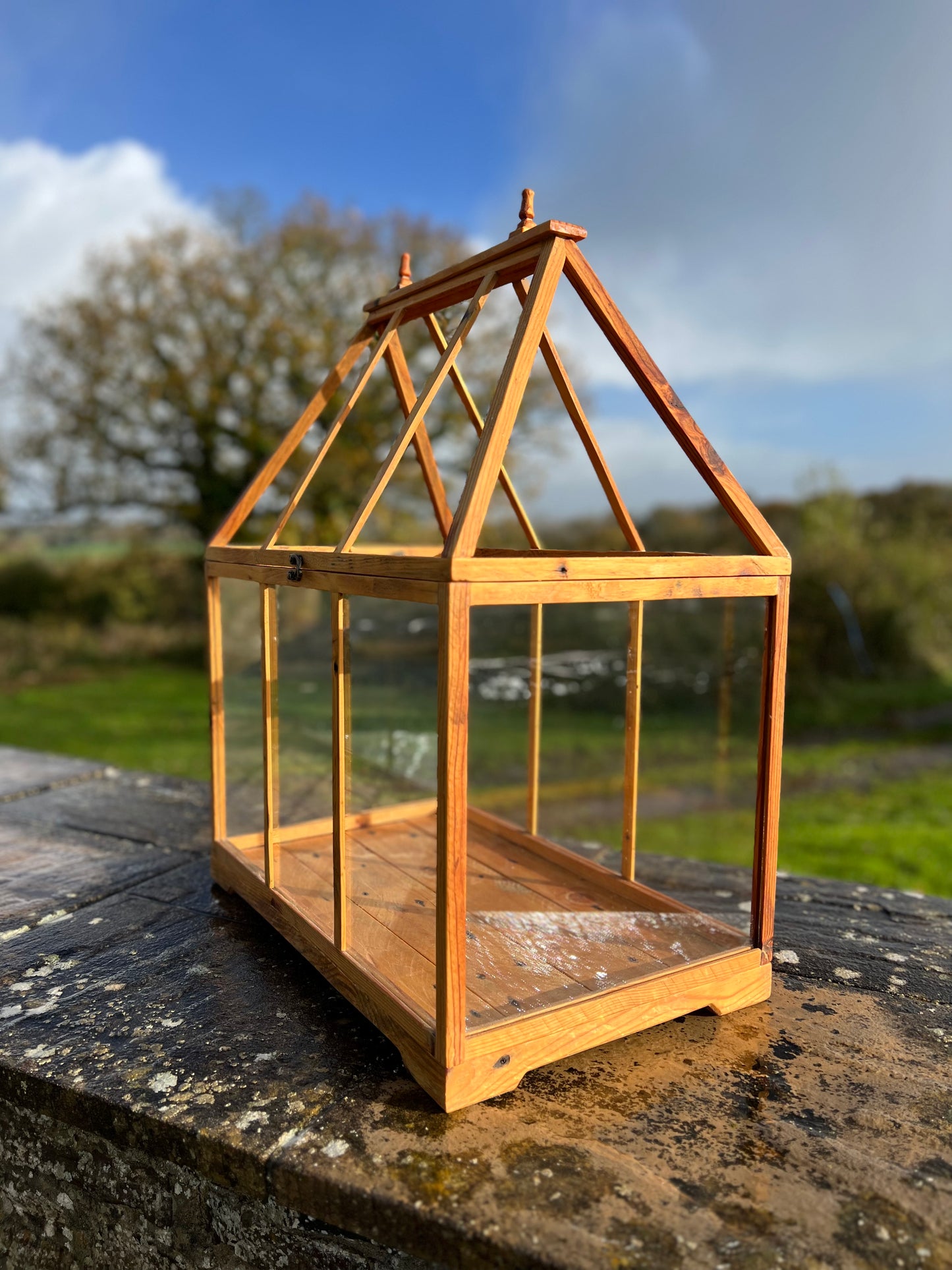 Handcrafted Wood and Glass Terrarium