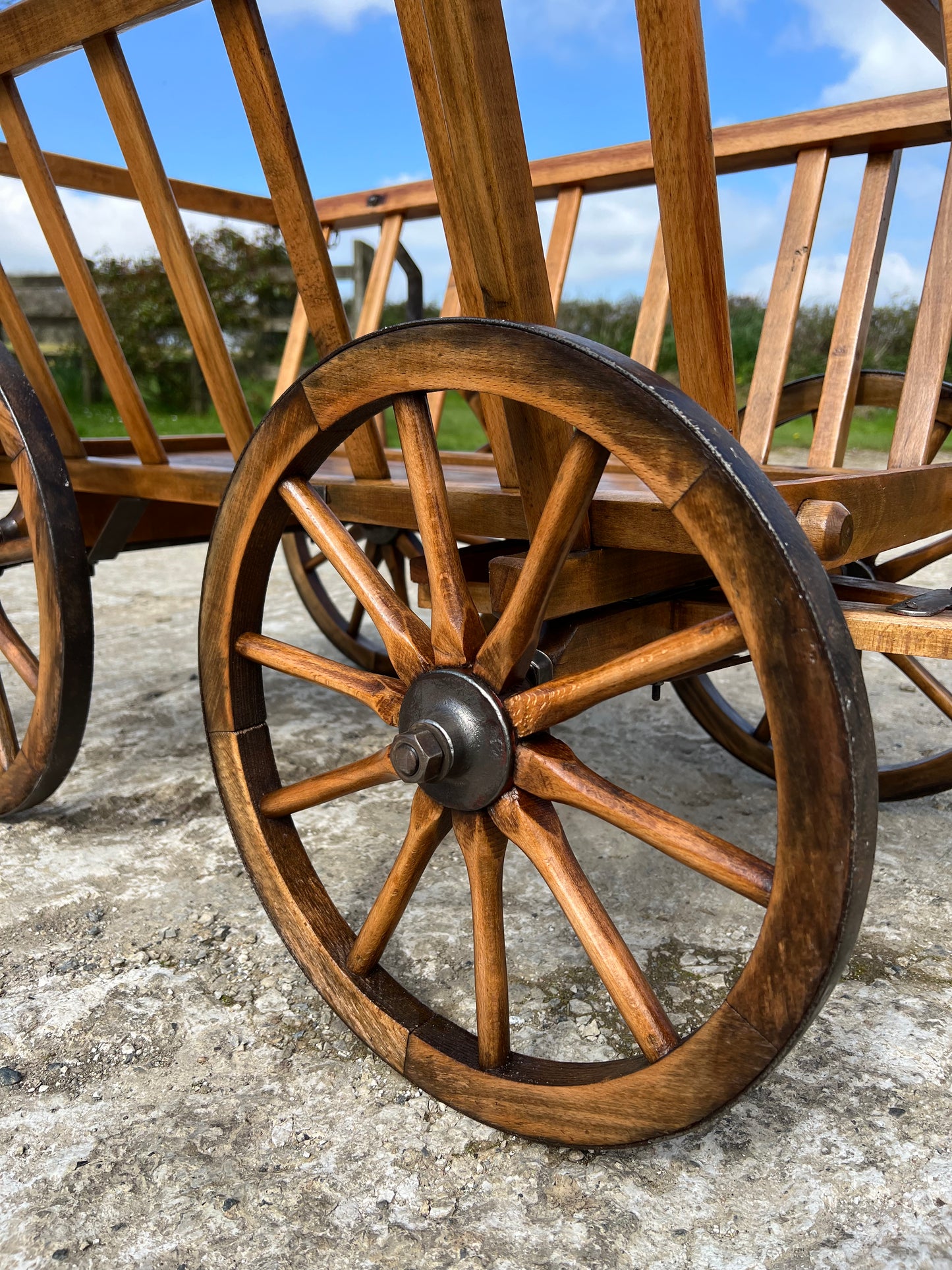 Vintage Dog Cart 2