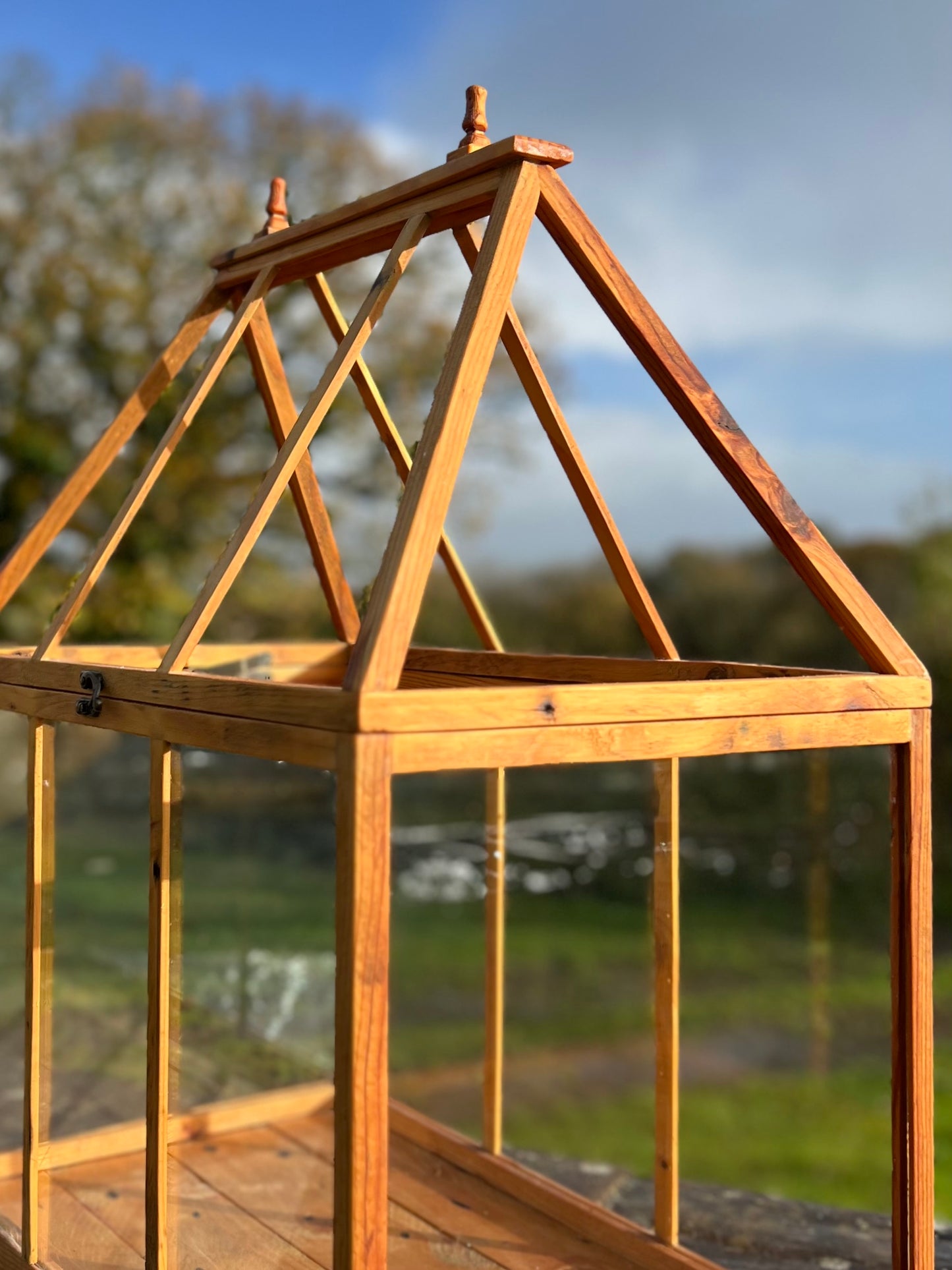 Handcrafted Wood and Glass Terrarium