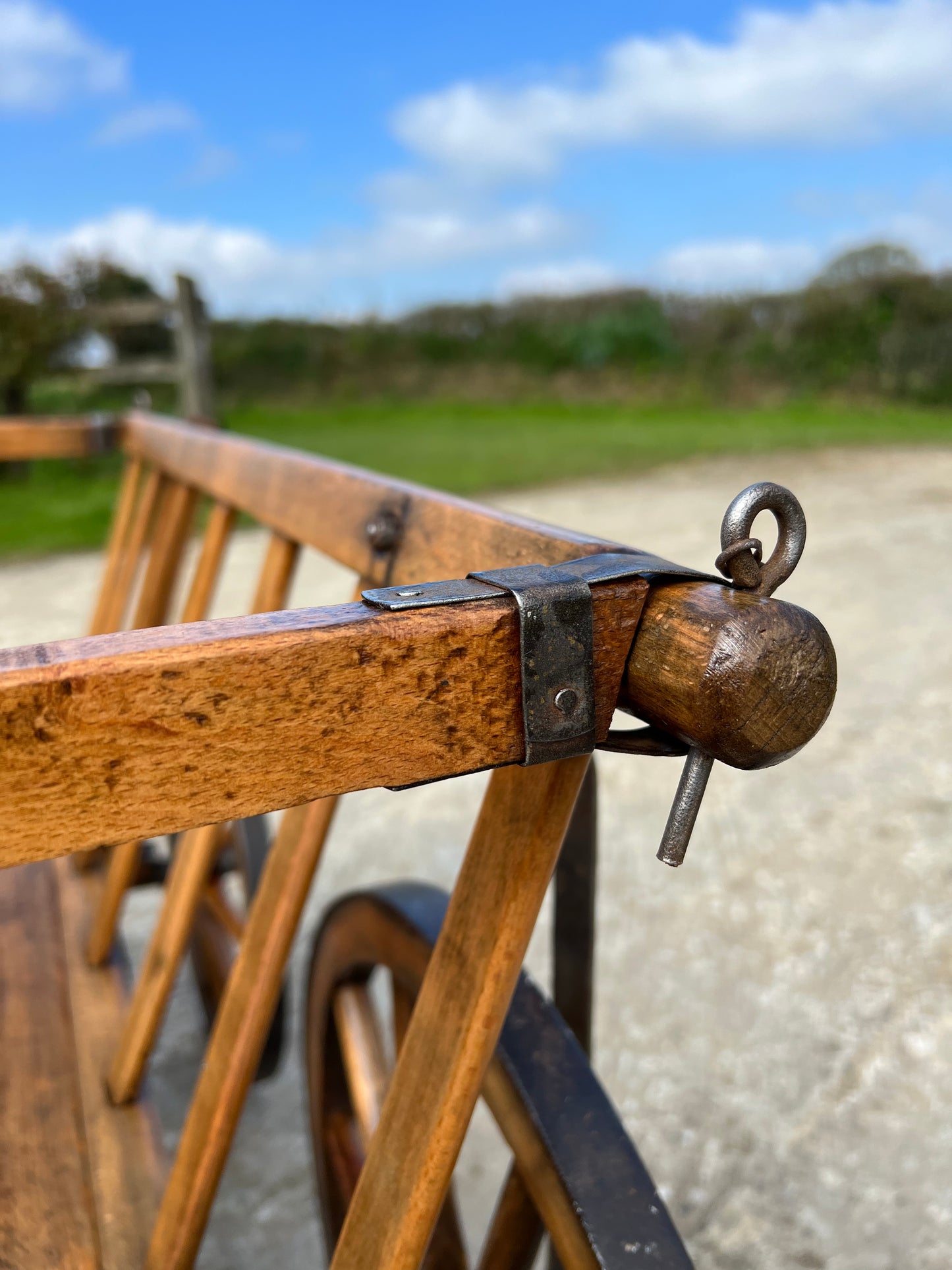 Vintage Dog Cart 2