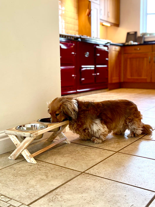 Friendship Dog Bowls - Small